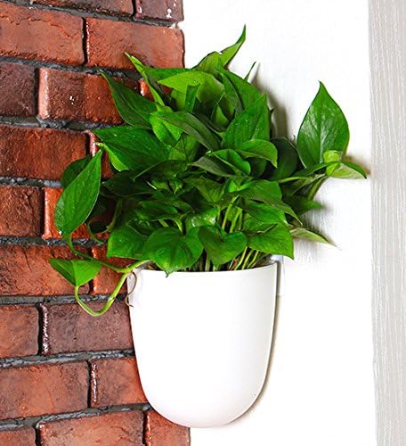 4 Pack Corner Wall Mounted Hanging Planter Self Watering Triangle Plastic Flower Pot Decorative Modern Plant Vase Container Holder for Succulent Indoor Outdoor Home Office Décor White