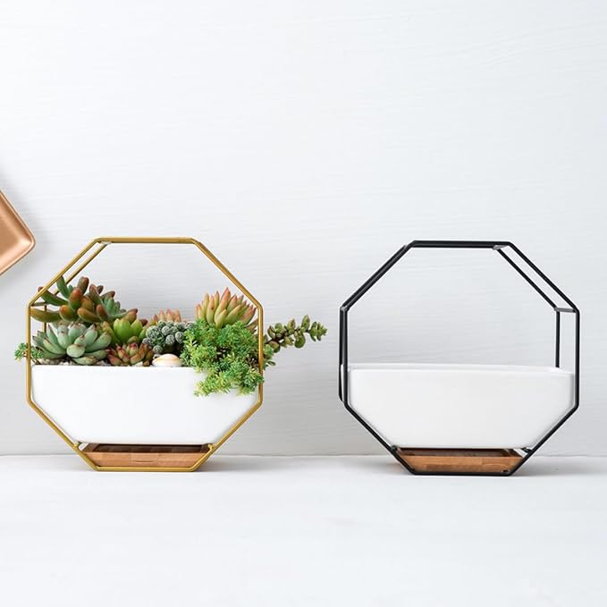 Wall Planter Geometric Succulent Wall-Mounted Decor with Ceramic Flower Pot Hanging Vase Desktop Succulents Planter, Nordic Style Flower Pot, Standard