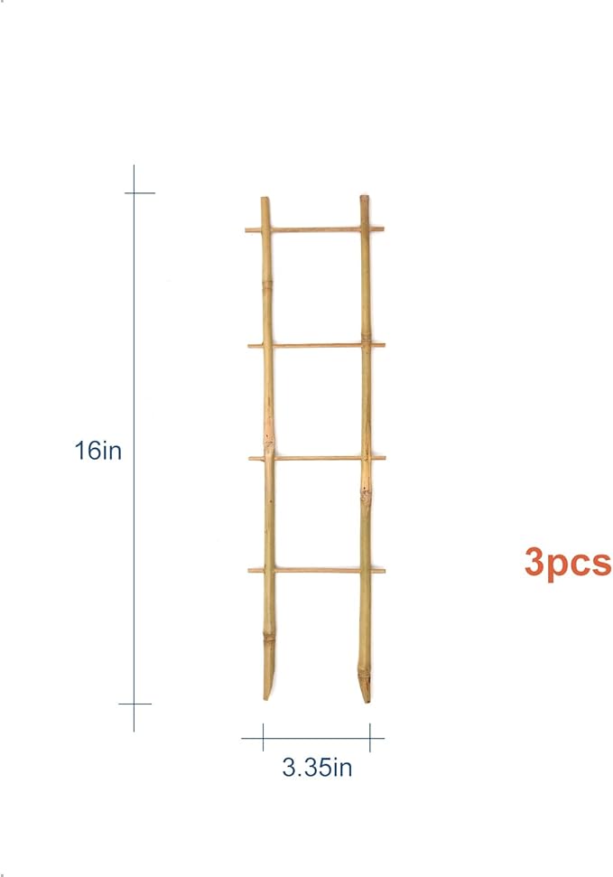 COLOtime 3Pack Bamboo Trellis 16 Inch Ladder Shaped Small Plant Trellis for Indoor Potted Plants Climbing Monstera Orchid Vine Hoya Houseplant