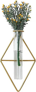 Nordic Wall Vase Hanging Geometric Gold Flower Vase Wall Mount Metal Frame Vases Hydroponic Glass Bud Vase Decor for Home Wedding Farmhouse
