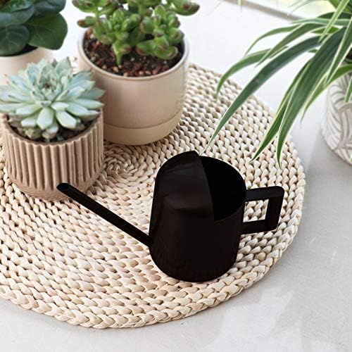 Mini Watering Can, 10oz/300ml Stainless Steel Long Spout Small Watering Can for Indoor Plants Succulents, Herbs (Black)