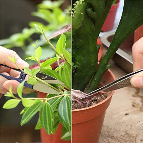 10 Piece Set of Garden Potted Tools Mini Garden Tool Set for Miniature Succulent Bonsai Cactus Planting Transplant Gardening Hand Tools