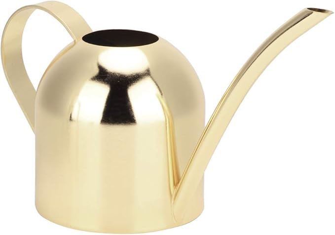 Watering Can for Indoor Outdoor Plants, Stainless Steel Long Spout Watering Cans for House Plants Long Spout Water Can for Succulent Bonsai Garden Flower, 17oz/500ml (Gold)