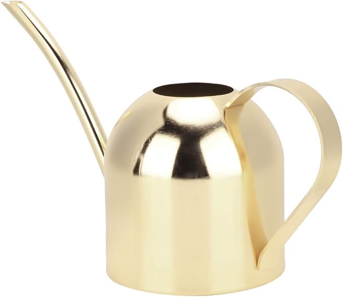 Watering Can for Indoor Outdoor Plants, Stainless Steel Long Spout Watering Cans for House Plants Long Spout Water Can for Succulent Bonsai Garden Flower, 17oz/500ml (Gold)