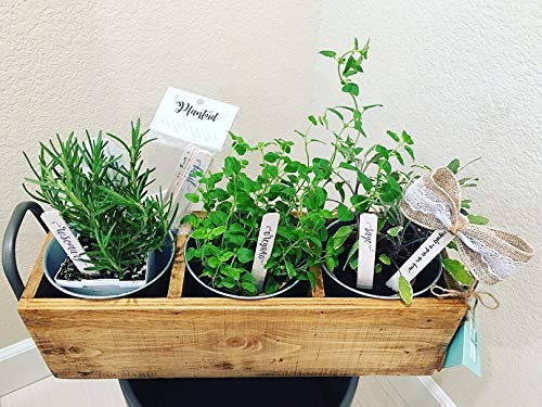 14-Pack! Culinary Herbs Farmhouse Decor Outdoor Indoor Kitchen Herb Garden Stakes, Christmas Stocking Stuffers, Plant Labels, Plant Tags, Garden Markers, Garden Gifts, Holiday Stocking Stuffers,