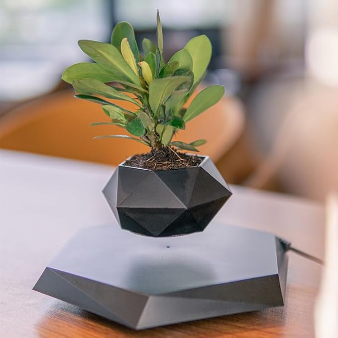 Black Hexagon Levitating Plant Pot Magnetic Floating Planter for Small Succulents Air Bonsai 360° Spin Desk Decor USB Powered Base Novelty Levitation Pot Indoor Office Shelf Table Centerpiece Gift