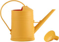 0.5 Gallon Watering Can Indoor Plants,Plastic Long Spout Watering Can with Removable Nozzle and Handles,Mini Watering Can for House Succulent Bonsai Garden Flower Indoor Plants Office