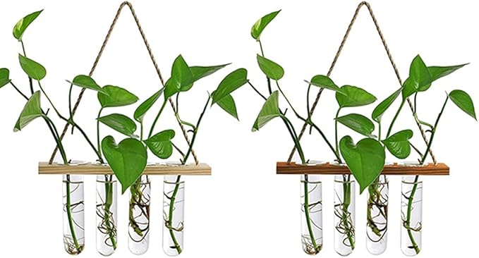 Wall Hanging Planter Terrarium with Wooden Stand, Mini Test Tube Flower Vases Retro Hanging Glass Planter Propagator for Hydroponic Plants Cutting Home Decor, 4 Propagation Tubes
