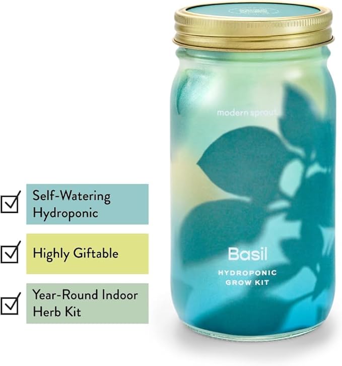 Modern Sprout Mason Garden Jar + Replant Kit -Self-Watering Hydroponics Growing System Kit w/Organic Herb Seeds - Sprouting Jar Planter for Indoor Herb Garden - Seed Starter -Home Decor Gifting -Basil