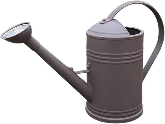 Baoblaze Watering Can Indoor Plants with Detachable Sprinkle Head 1.8L Lightweight er Watering Can Long Spout Watering Can for Plants Bonsai, Brown