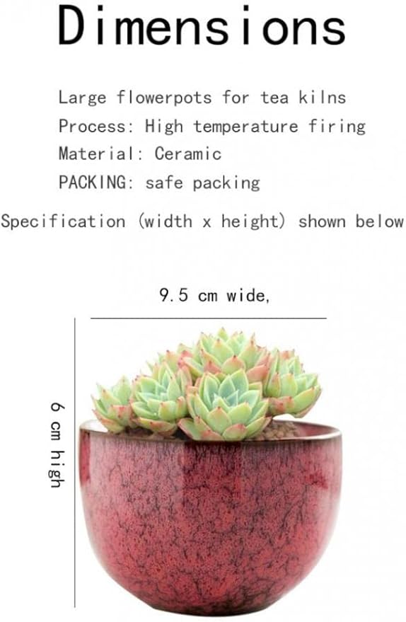 YYW Ceramic Plants Pots 3 Inch Set of 4 Flower Pots with Drainage and Bamboo Tray for Indoor/Outdoor Small House Plants,Foliage Plant (Set 2)