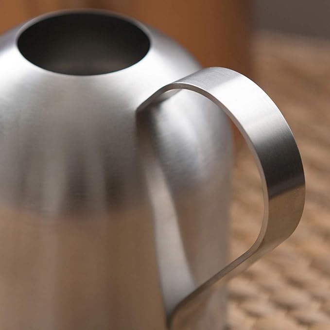 Small Watering Can for Indoor Plants, 15oz/450ml Stainless Steel Long Spout Watering Can for Succulents, Herbs (Silver)