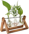KUPOO Retro Plant Terrarium with Wooden Stand - 3-Bulb Glass Air Planter Vase with Metal Swivel Holder for Hydroponics Home and Office Garden Decor (3 Buld Vase)