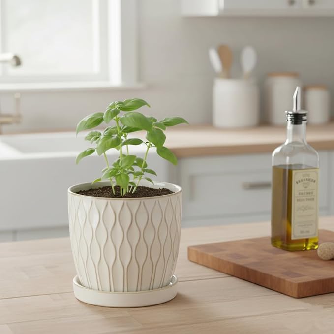 Nihow Ceramic Plant Pots - 4.75 Inch Planters for Indoor Plants,Embossed Flower Pots with Drainage Hole & Saucer,Small Pots for Succulent,Cactus,Little Snake,Set of 2,White -3