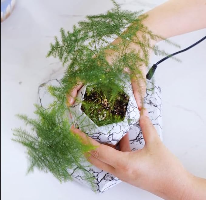 MOOCCI Floating Plant Pot Magnetic Levitating Plant Pot for Succulents, Air Bonsai and Fake Flowers and Plants, Unique Decor for Home, Office and Desk, Father's Day (Marble)