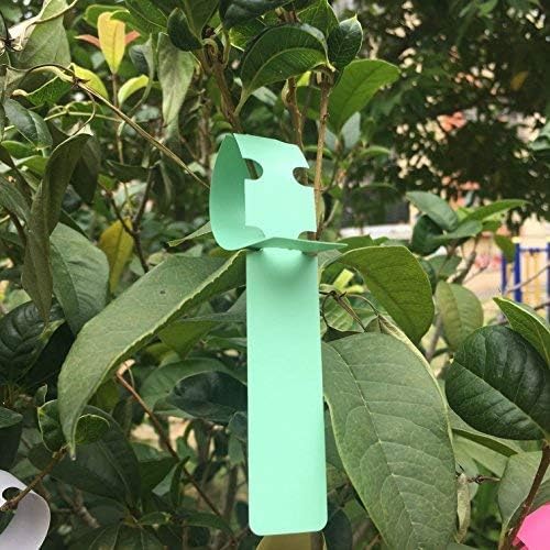 Plastic Tree Tags Garden Plant Labels, 500 PCS 5 Colors Wrap Around Nursery Tags