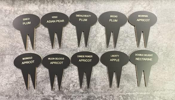 Comfort House Personalized Tree Tag - Custom Tree and Plant Identification Marker Stakes Into Ground - Name, Memorial, Care Instructions # J0039