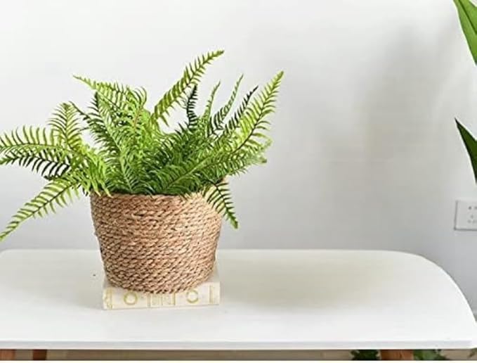 Seagrass Planter Basket Set With Plastic Lining Woven Storage Basket 7x6 In Indoor And Outdoor Plant Flowerpot Baskets Are Very Suitable For Flowerpot Covers. Natural Plant Containers (Small)