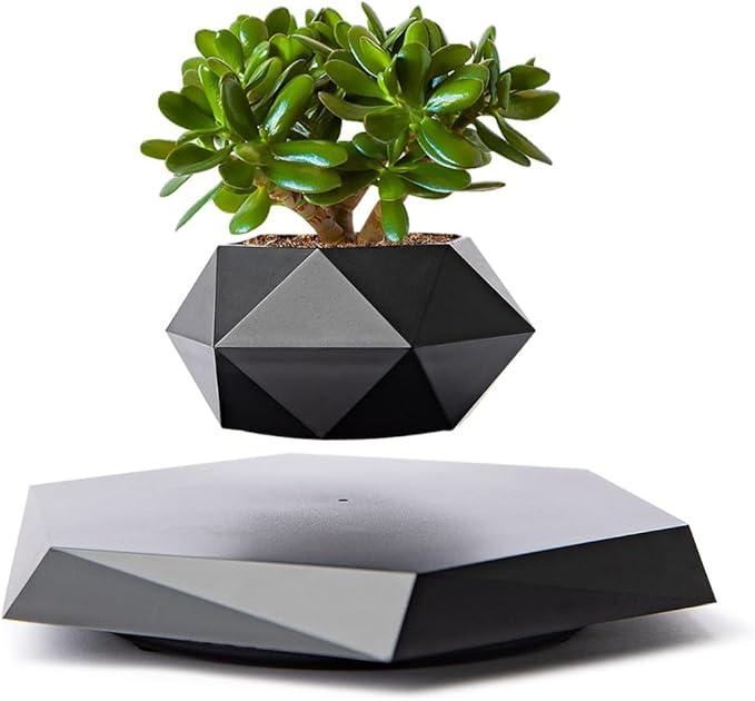 MOOCCI Levitating Plant Pot Floating Plant Potted Plant, Air Bonsai and Artificial Plants, Home Office Desk Decor, Gift for Easter, Mother's, Father's Day（Black