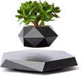 MOOCCI Levitating Plant Pot Floating Plant Potted Plant, Air Bonsai and Artificial Plants, Home Office Desk Decor, Gift for Easter, Mother's, Father's Day（Black
