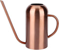 Stainless Steel Watering Can, 1.5L/53oz Small Watering Can Indoor Plants with Long Spout Outdoor Watering Can Pot Modern Style Plant Watering Can for Garden Flower Decorative