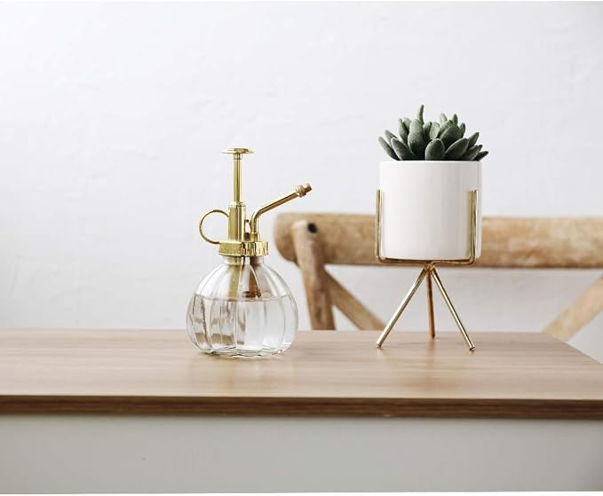Plant Mister, 6.5" Tall Decorative Glass Water Spray Bottle with Gold Top Pump Small Watering Can by Ebristar - Clear