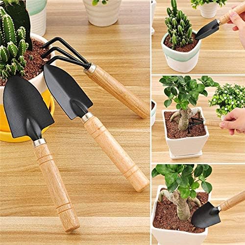 10 Piece Set of Garden Potted Tools Mini Garden Tool Set for Miniature Succulent Bonsai Cactus Planting Transplant Gardening Hand Tools