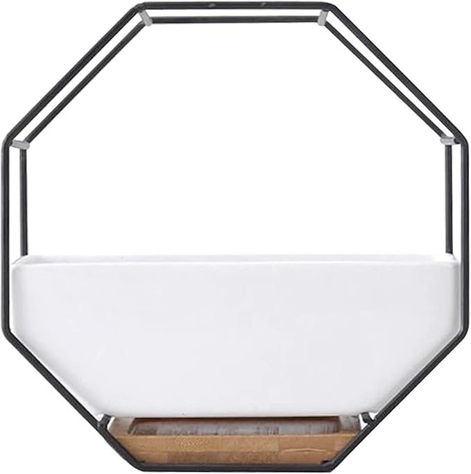 Modern Wall Planter Metal Wire Octagon Design Wall-Mounted Shelves with Ceramic Flower Pot Geometric Hexagon Wall Decor (Color : Black)