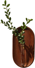 Modern Glass Test Tube Vase with Wooden Base – Wall-Mounted Floral Decor for Home and Office, Minimalist Plant Display (No Plants)