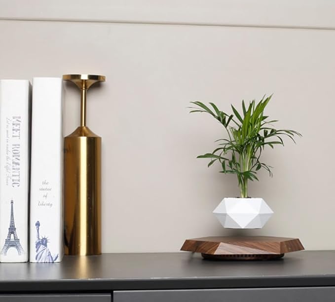 Planting Flower Pots, Leveling Plant Pot, Magnetic Activity, Floating Plant Pot, Floating Plant, Hanging Flower Pots, Suspended Flowpot, Planers