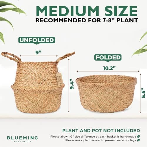 Plant Baskets – Set of 2, Twin Pack Large Hand Woven Seagrass Rattan Belly Planter with Handles for Plant Pots, Home Decor, Organizer, Laundry (Original, 12 Inch x 10 Inch)