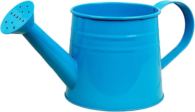 1.6L Watering Can for Indoor Outdoor Plants, Modern Small Watering Cans, Metal Flower Watering Can, Long Spout Watering Can-Colorful Plant Waterer for Indoor Bonsai Plants Garden Flowers (Blue)