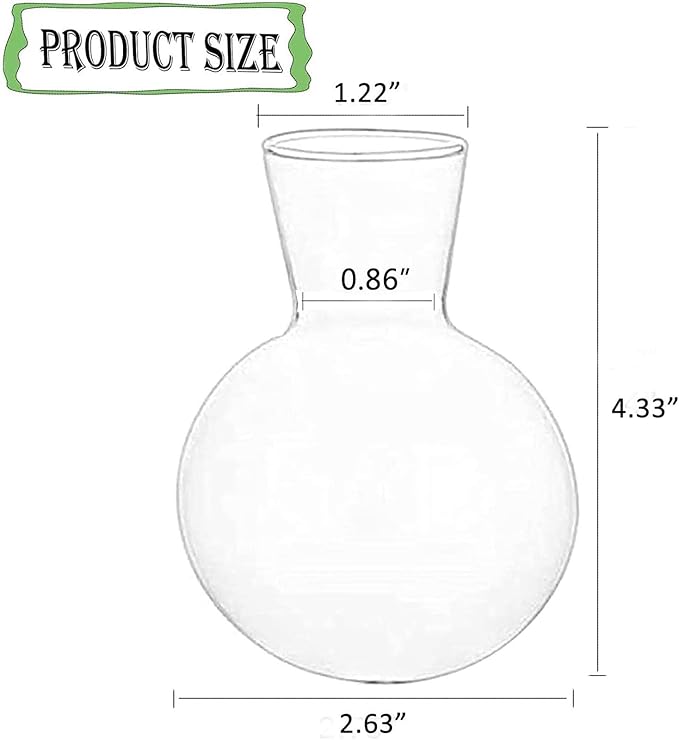 Kingbuy Bulb Forcing Vase Without Side-Hole Plant Propagation Station Air Plant Terrarium for Indoor Hydroponics Water Plants Home Office Decoration Accessories, 2 Pack