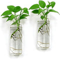 Wall Planters for Indoor Plants, 2 Pack Glass Wall Planters for Propagation, Hanging Terrarium Planters with Hooks for Hydroponic Plants, Flowers, Home Office Bathroom Decor
