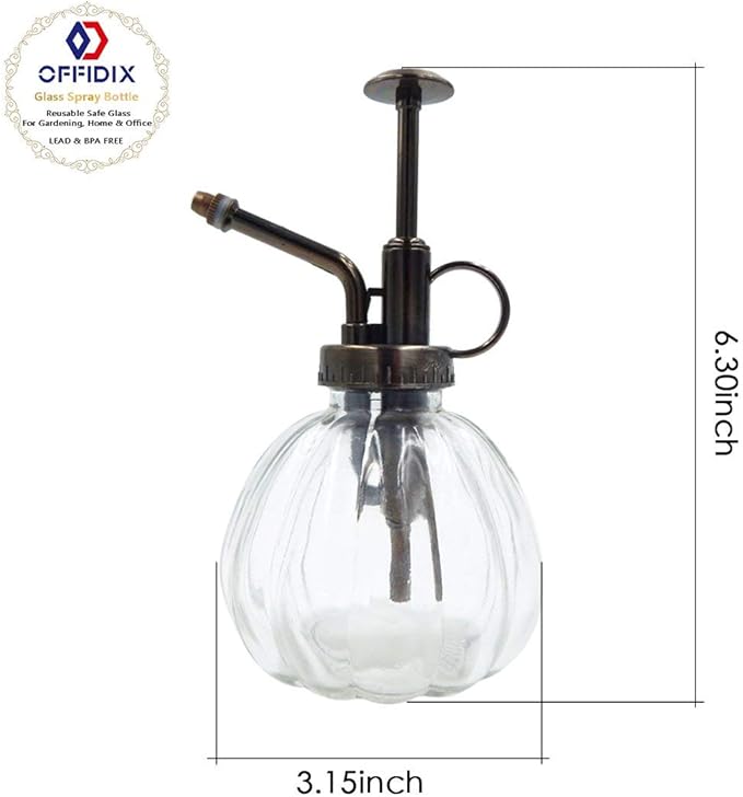 OFFIDIX Glass Plant Mister,Small Plant Spray Bottle with Plastic Top Pump for houst Plant