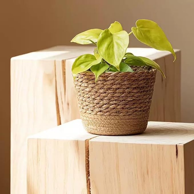 7'' Seagrass Round Wicker Planter Basket with Plastic Liner, Handmade Woven Basket Flower Pot for Indoor Plants and Flower, Boho Home Decor, Bread & Fruit Storage Basket (Khaki,7.8''X6.3'')