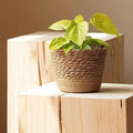 7'' Seagrass Round Wicker Planter Basket with Plastic Liner, Handmade Woven Basket Flower Pot for Indoor Plants and Flower, Boho Home Decor, Bread & Fruit Storage Basket (Khaki,7.8''X6.3'')