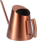 Household Bonsai Stainless Steel Watering Can, Mini Brushed Indoor House Plants Long Spout Watering Can Modern Watering Pot, Rose Gold(M)