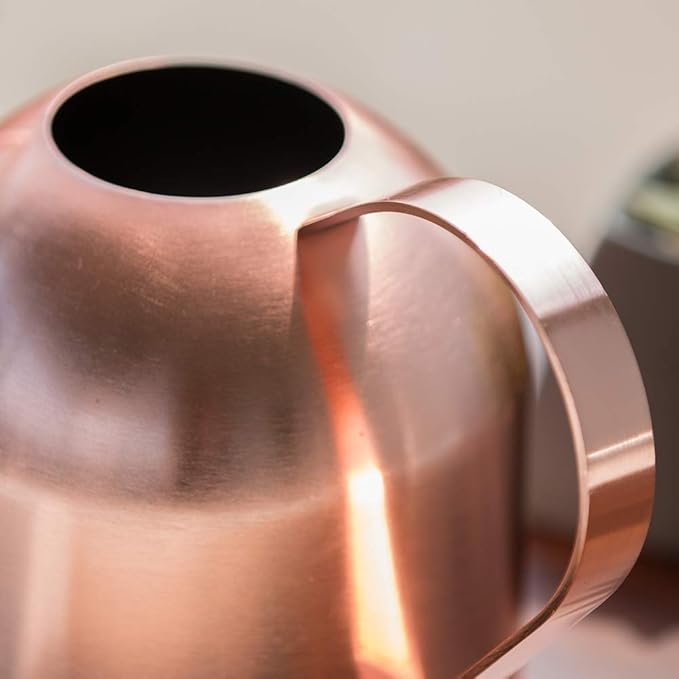 Stainless Steel Watering Can for Indoor Plants – Long Spout, Gentle & Even Watering, Precision Plant Water Can, Rose Gold 30 oz | E.Palace
