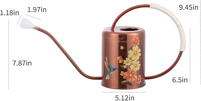 1/2 Gallon 68oz Long Spout Stainless Steel Flower for Indoor Plant Watering or Outdoor Gardening with 2 Removable Spray Spout for Flowers Plant Hummingbird Pattern Watering Can, Bronze