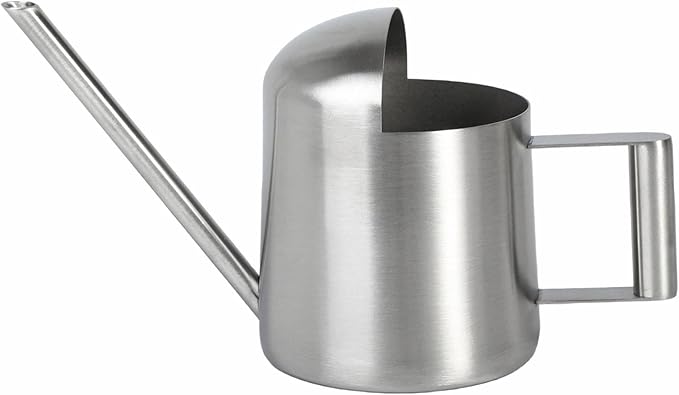 IMEEA Tiny Watering Can for Indoor Plants Bonsai Tree Stainless Steel Small Watering Can Succulents, 11oz/300ml