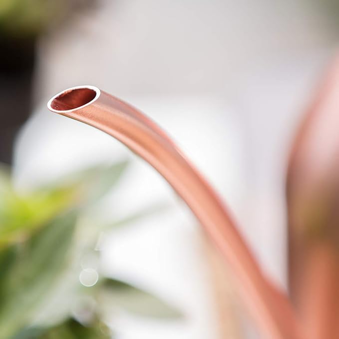 Small Watering Can Indoor Plants Metal Watering Cans 15oz Capacity Cute Design for House Plants & Gardens (Rose Gold 15 oz)