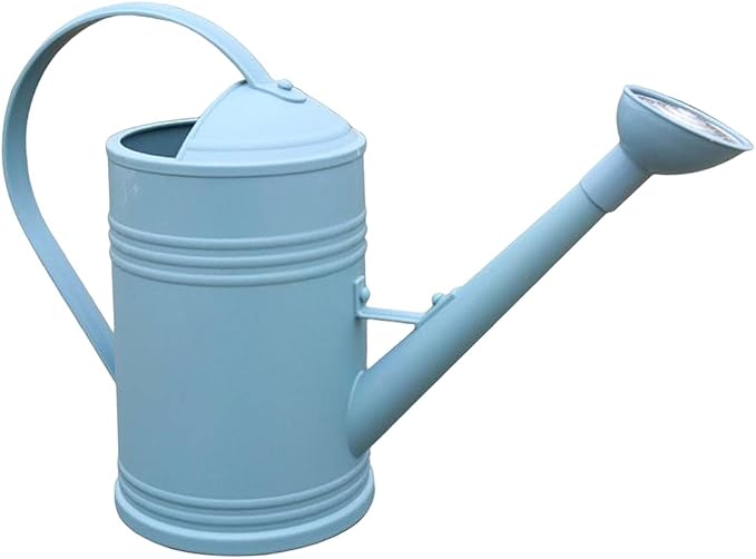 Baoblaze Watering Can Indoor Plants with Detachable Sprinkle Head 1.8L Lightweight er Watering Can Long Spout Watering Can for Plants Bonsai, Blue