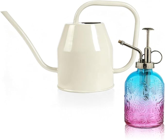 35 oz/1000 ml Metal Indoor Small Watering Can with Long Spout for House Plants Decorative, 12 oz/360 ml Glass Plant Mister Spray Bottle for Bonsai Garden Flowers