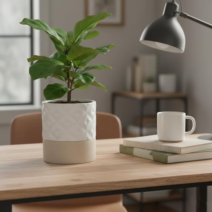 Nihow Self Watering Plant Pot for Indoor Plants: 6 Inch Ceramic Planter with Drainage Hole & Water Storage Plus - Cylinder Flower Pot with Wick for Herbs - Matte White & Brown Star