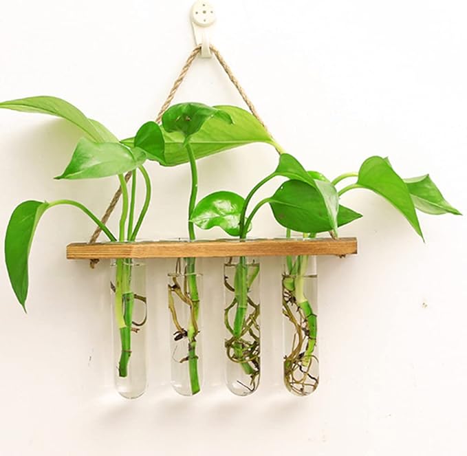Wall Hanging Planter Terrarium with Wooden Stand, Mini Test Tube Flower Vases Retro Hanging Glass Planter Propagator for Hydroponic Plants Cutting Home Decor, 4 Propagation Tubes