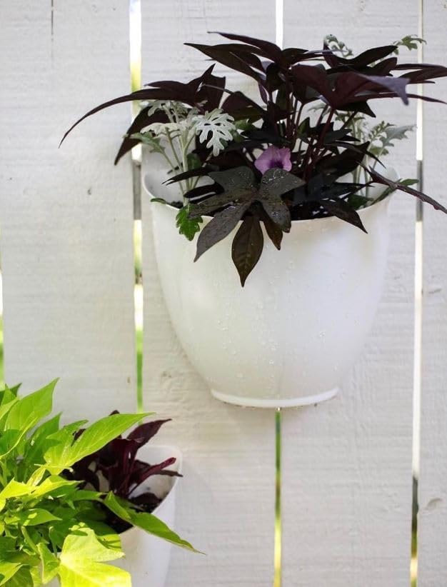 The HC Companies 8 Inch Garden Wall Planter - Plastic Hanging Plant Pot for Indoor Outdoor Flowers, Herbs, Slate Blue (Pack of 2)