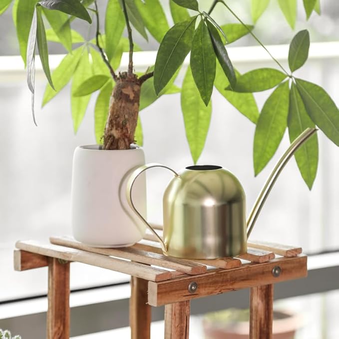 Stainless Steel Water Can for Indoor Plants and Garden (Gold 50 oz)