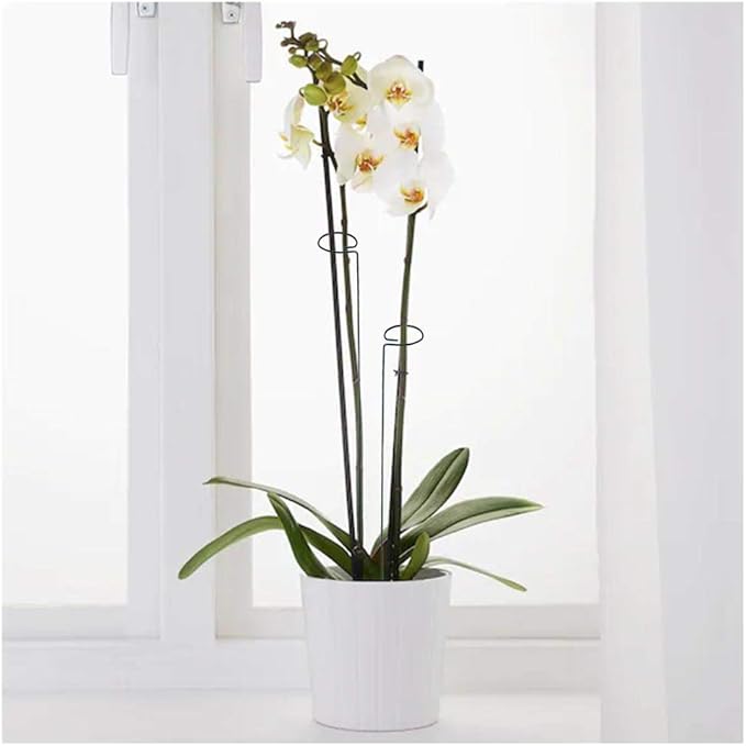 20 Pieces 24 inch Green Single Stem Plant Stakes Flower Support Rings,Gardening Planter Cages for Single Stem Flowers, Amaryllis, Peony, Lily,Narcissus