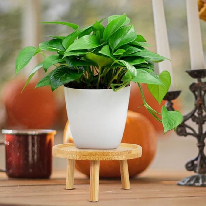 DOITOOL 5 Inch Wooden Indoor Plant Stand Succulent Pot Holder Decorative Flowerpot Raiser Tray for Living Room Patio Garden Display